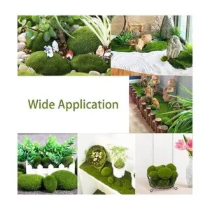 Nicunom 40 rocas artificiales de musgo de 5 tamaños