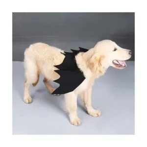 Puoyis Disfraz de ala de murciélago para Halloween