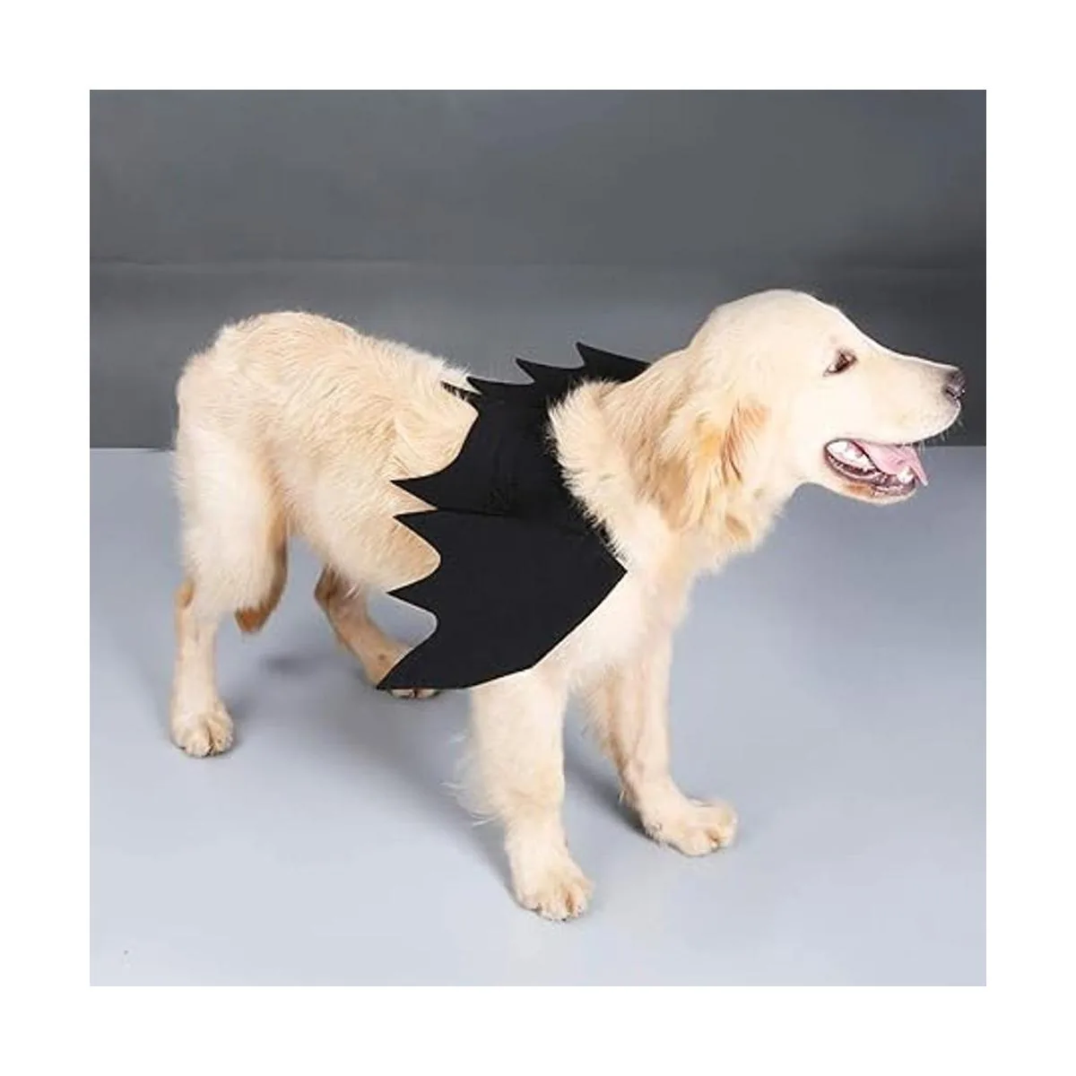 Puoyis Disfraz de ala de murciélago para Halloween