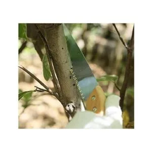 BlueCatELE Sierra de poda manual para jardín_3