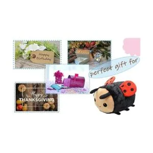 Peluche de mariquita con cara sonriente y alas rojas_6