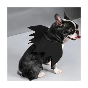 Puoyis Disfraz de ala de murciélago para Halloween