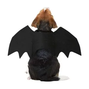 Puoyis Disfraz de ala de murciélago para Halloween