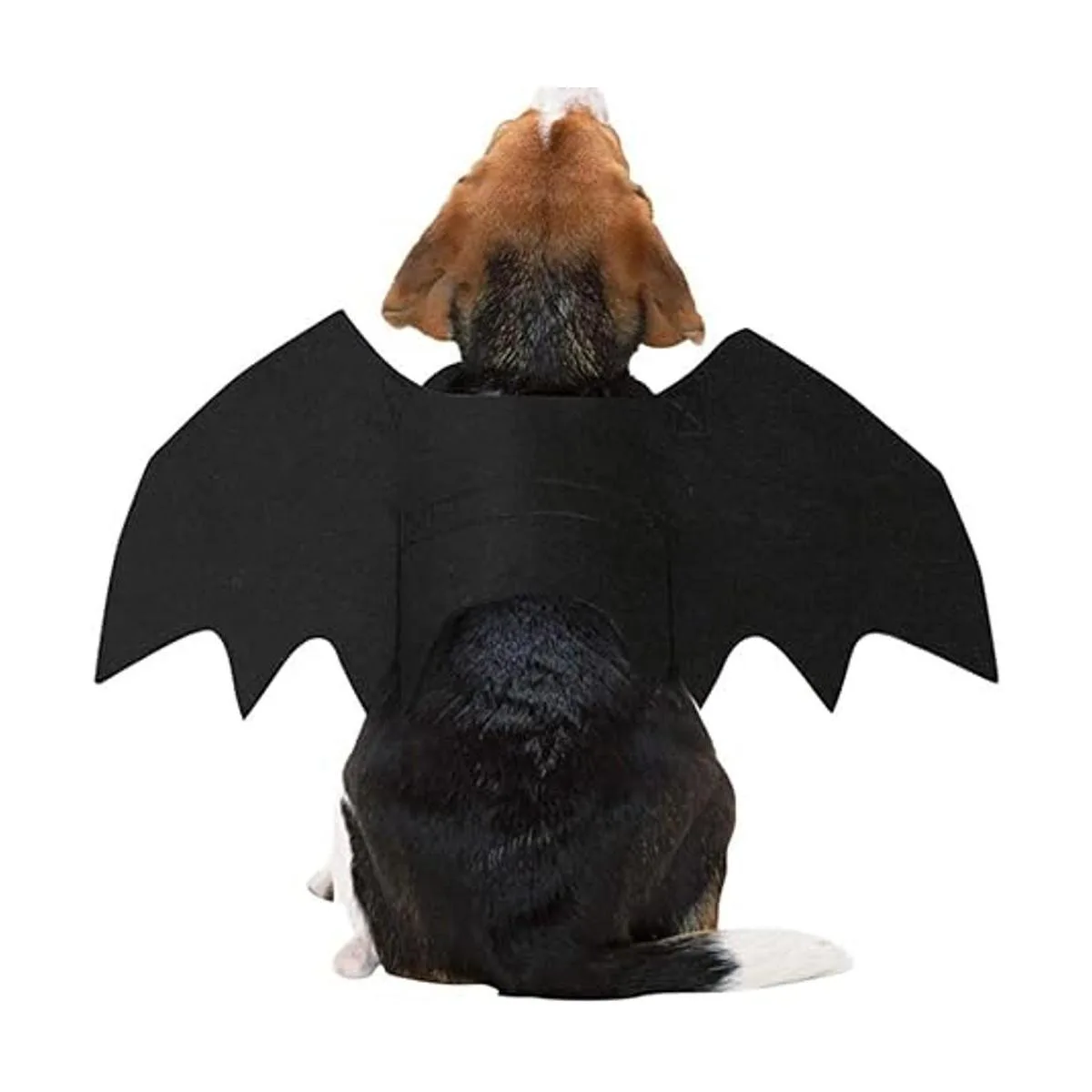 Puoyis Disfraz de ala de murciélago para Halloween