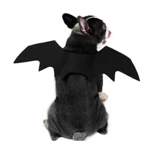 Puoyis Disfraz de ala de murciélago para Halloween