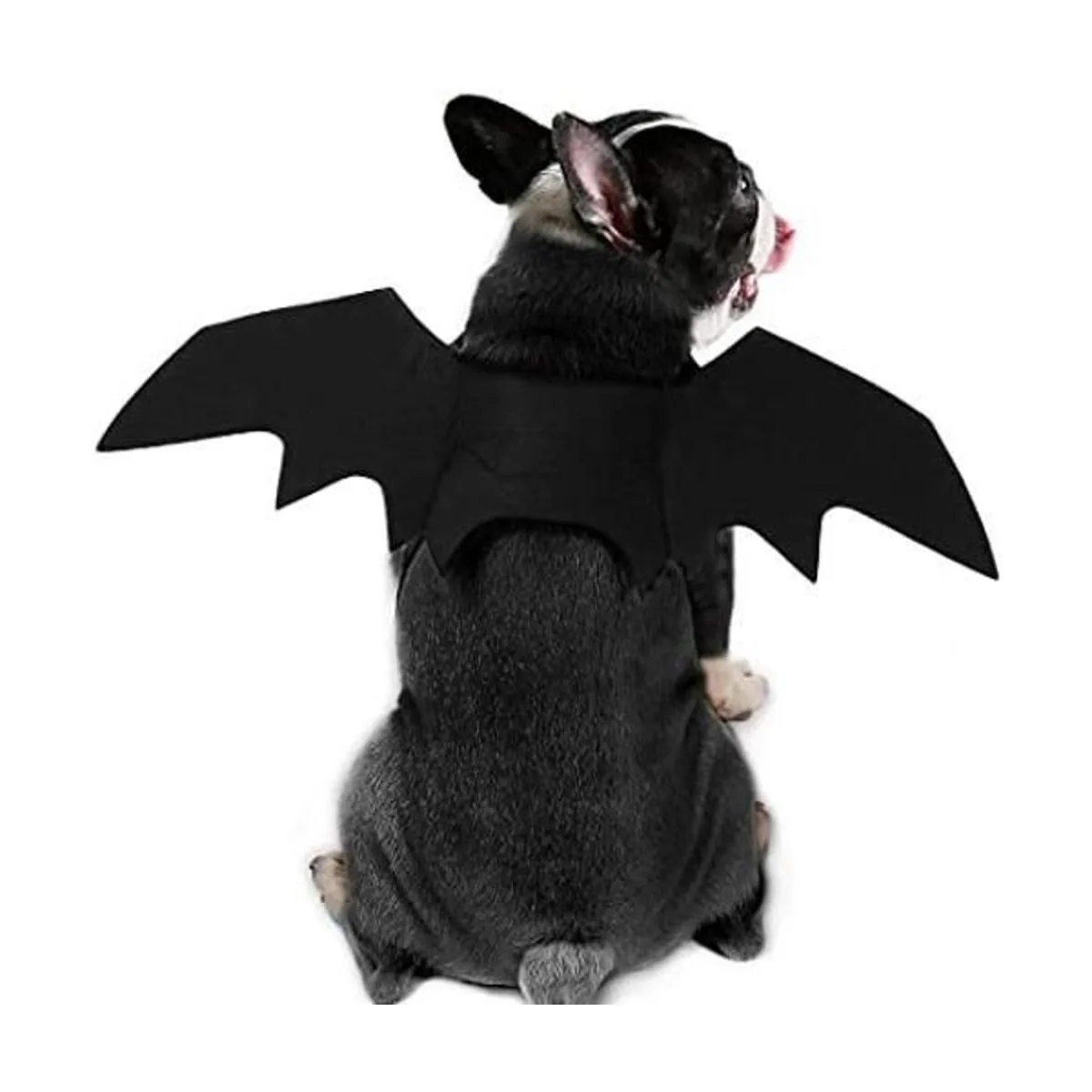 Puoyis Disfraz de ala de murciélago para Halloween