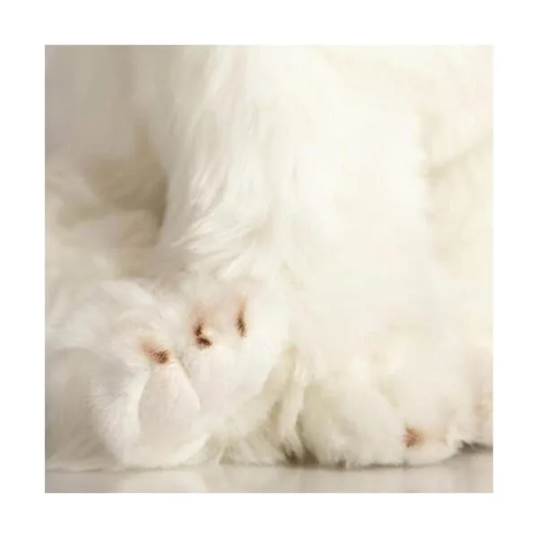 HollyHOME Bichon Frise Juguete de peluche realista para_4