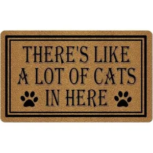 Felpudo de bienvenida 29.5 x 17.7 pulgadas alfombrilla_1