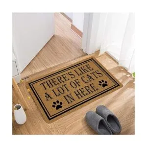 Felpudo de bienvenida 29.5 x 17.7 pulgadas alfombrilla_3