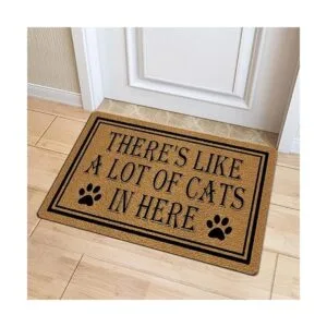 Felpudo de bienvenida 29.5 x 17.7 pulgadas alfombrilla_5