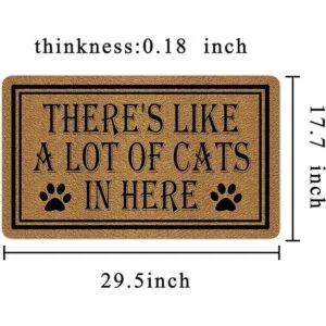 Felpudo de bienvenida 29.5 x 17.7 pulgadas alfombrilla_4