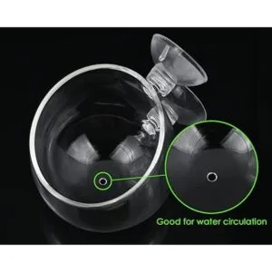 DS. DISTINCTIVE Style Vasos acuáticos para plantas 2_6