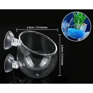 DS. DISTINCTIVE Style Vasos acuáticos para plantas 2_2