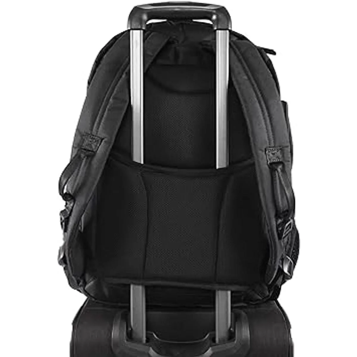 Original Penguin Mochila para ordenador portátil