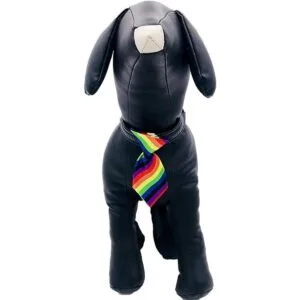 8 piezas de PET SHOW con rayas de lunares y pequeños_4