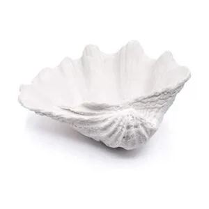 ALIWINER Cuenco de concha de mar de resina grande para_1