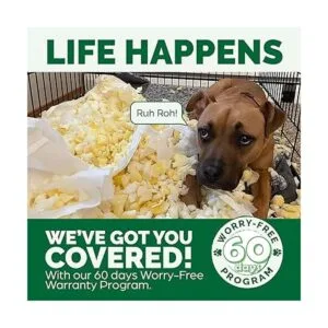 Cama ortopédica para mascotas para perros y gatos Sofá_2