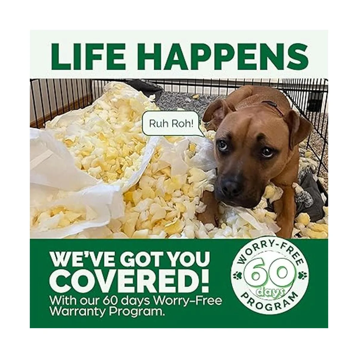 Cama ortopédica para mascotas para perros y gatos Sofá_2