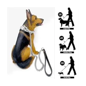 PRADOG Cadena para perro correa de metal a prueba de