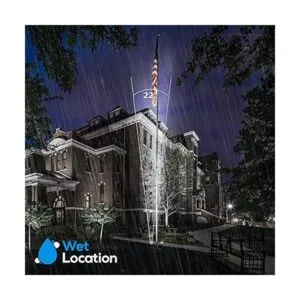 LEONLITE Foco LED de 30 W con soporte para nudillos luz_3