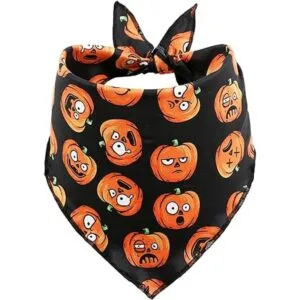 Paquete de 2 pañuelos de Halloween para perros_4