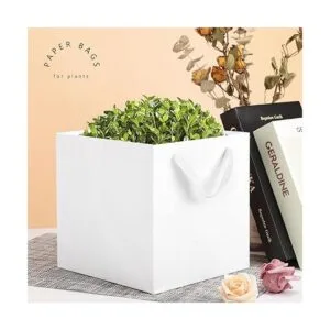 EUSOAR Kraft Bags with Handles 10x10x10 inches Pack of 20