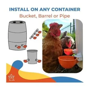 Paquete de 5 tazas grandes automáticas de pollo Lil_5