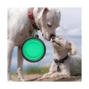 Cuencos plegables para perros gatos de viaje portátil