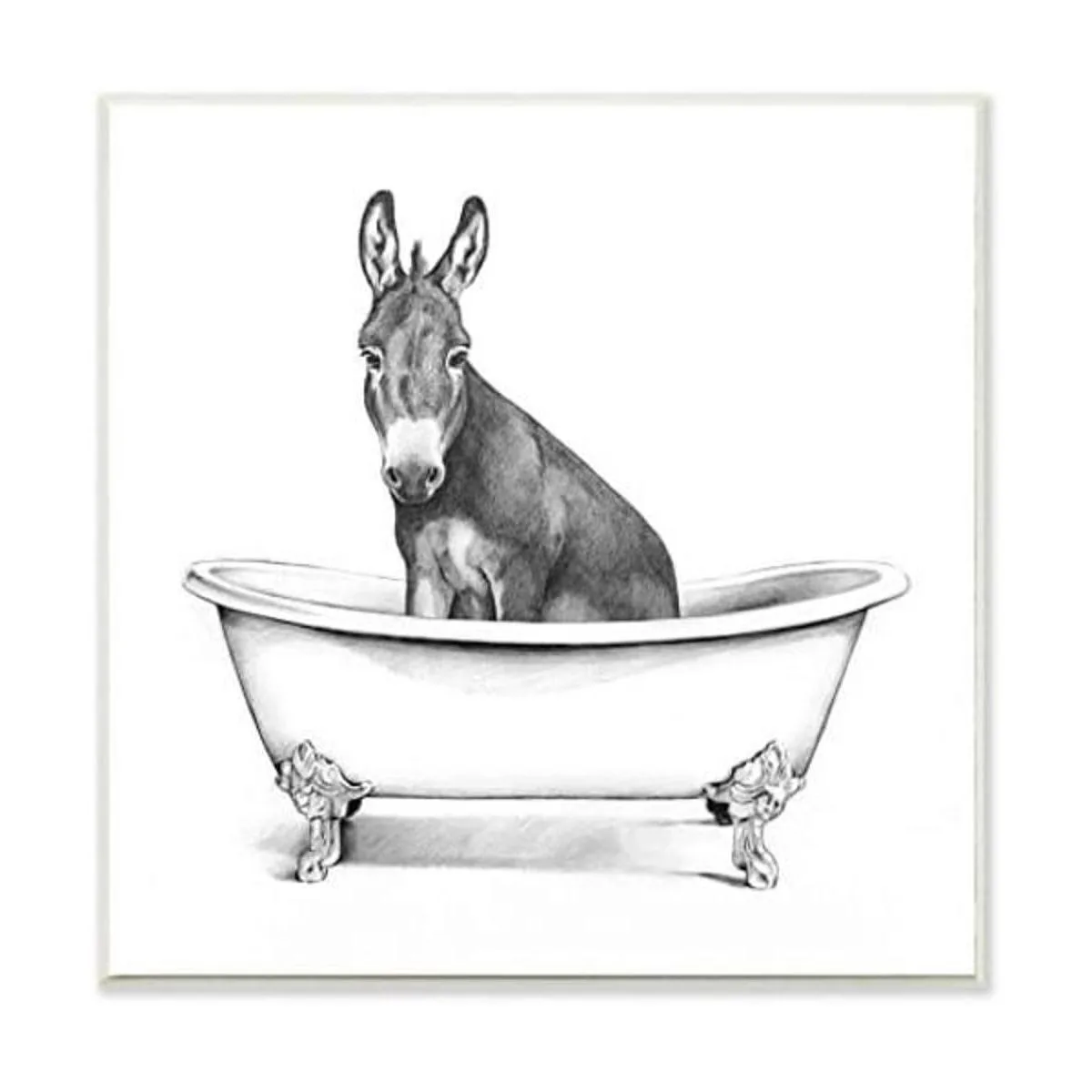 Boceto de baño de animales de granja de burro en garra_1