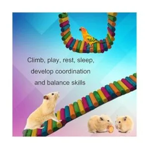 HAMILEDYI Hámster Rainbow Bridge escalera flexible para