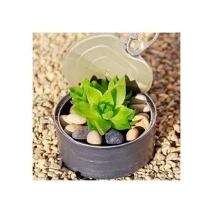 Arena brillante negra para chimeneafogataarena para_5