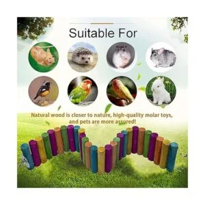 HAMILEDYI Hámster Rainbow Bridge escalera flexible para