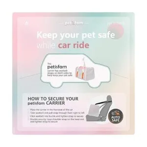 Easy Vet Visit Transportador de mascotas para gatos