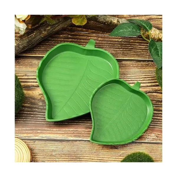 2 platos de comida para reptiles de hoja para beber y
