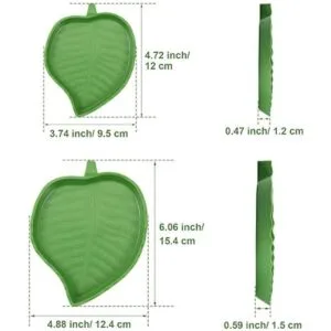 2 platos de comida para reptiles de hoja para beber y