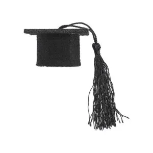 Pequeñas gorras de graduación de animales pequeños con