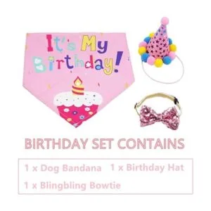 ADOGGYGO Pañuelo de cumpleaños para perro bufanda y_3
