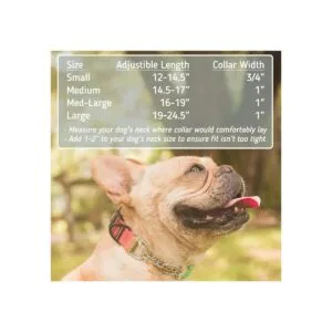 Straphboss Collar de perro reflectante con patrón de_3