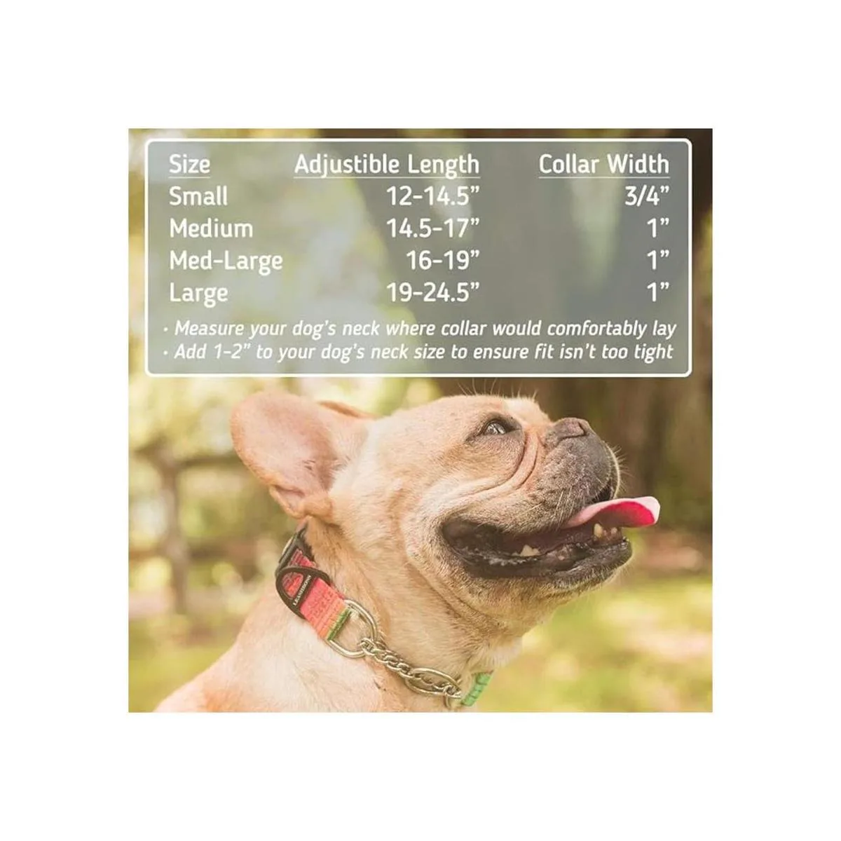 Straphboss Collar de perro reflectante con patrón de_3