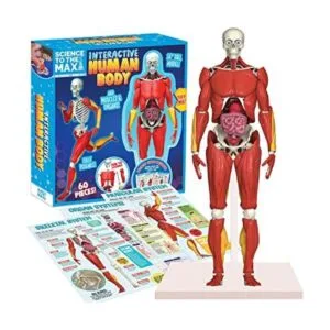 Be Amazing Toys Cuerpo humano interactivo Figura de_1