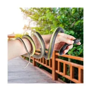 ONESING 22 serpientes de goma falsas de serpiente realista