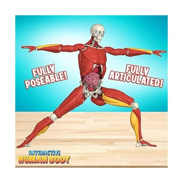 Be Amazing Toys Cuerpo humano interactivo Figura de_3