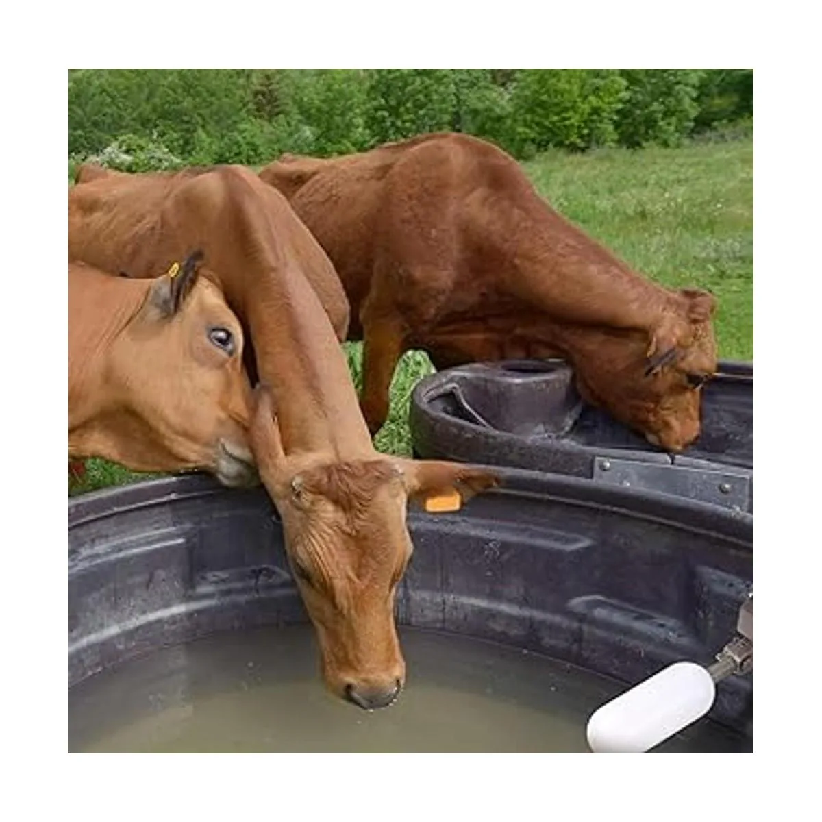 4 piezas de válvula flotante de 12 pulgada válvula_5