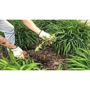 Keyfit Tools Cuchillo para deshierba para raices_3