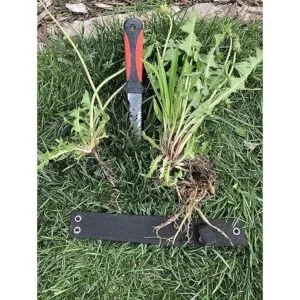 Keyfit Tools Cuchillo para deshierba para raices_2