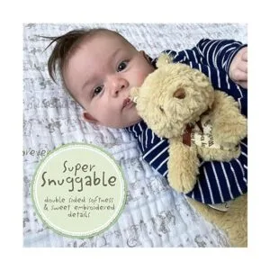 Disney Baby Manta clásica Winnie The Pooh Lovey_3