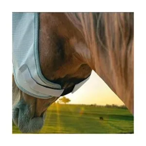 Correa elástica de gancho y bucle que añade longitud a la_5