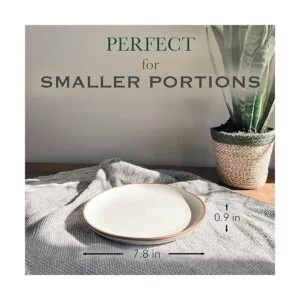 Mora Juego de 6 platos de cerámica 7.8 pulgadas postre