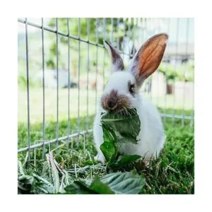 HongWay 240 grapas de paisaje estacas de tela de calibre_6