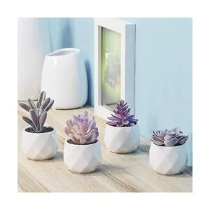 CADNLY Juego de plantas suculentas falsas plantas_2
